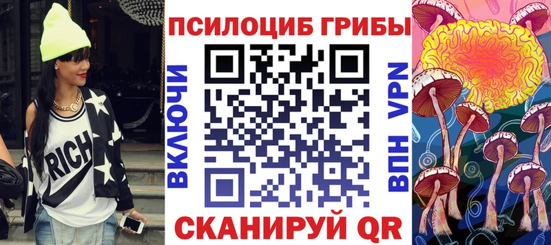 Псилоцибиновые грибы Psilocybe  Орехово-Зуево 